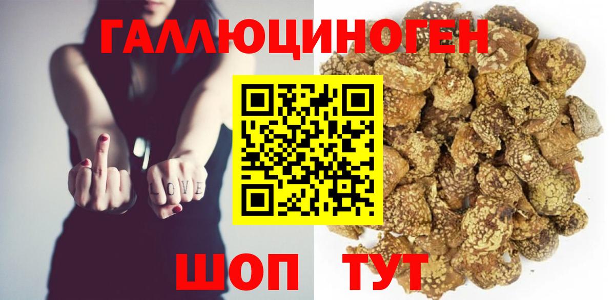 Галлюциногенные грибы Psilocybine cubensis  Вход с VPN  Кирово-Чепецк 