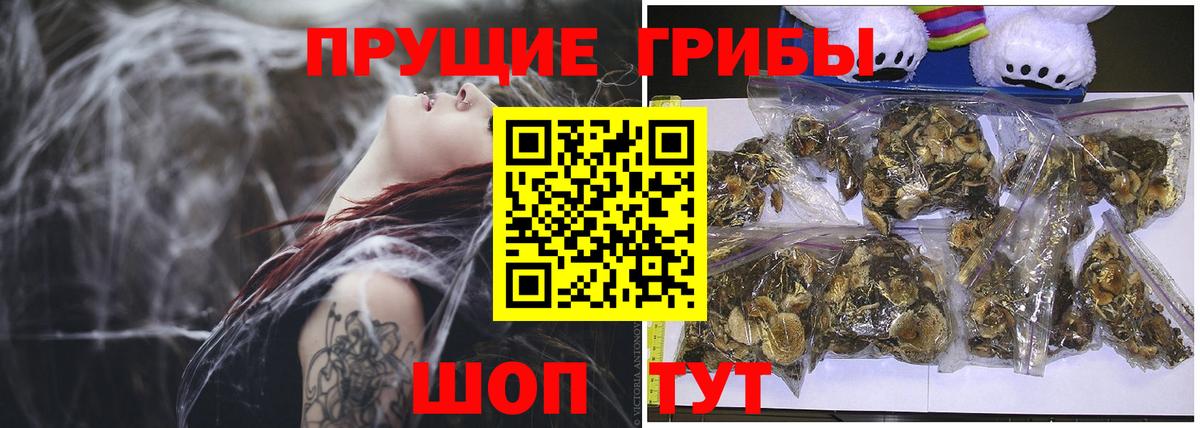 Псилоцибиновые грибы Magic Shrooms Кирово-Чепецк